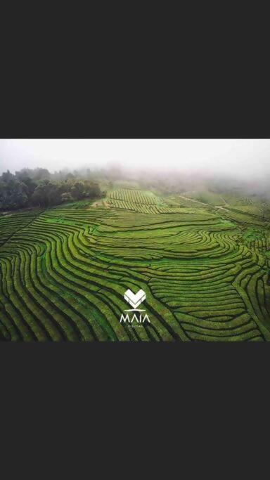 Maia  Casa Da Calhetaヴィラ エクステリア 写真
